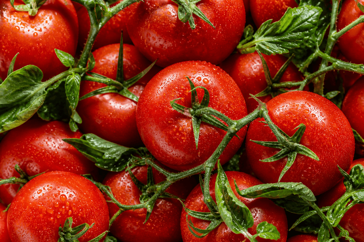 Fresh tomatoes and greens from local food partners